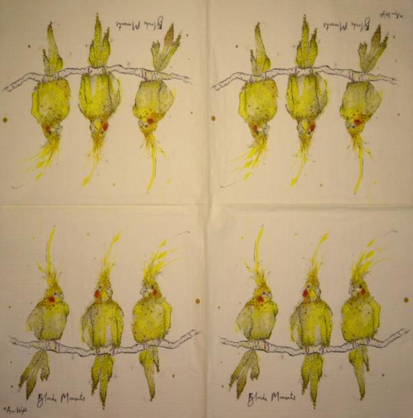 019 Parrot - 3-ply - Ihr